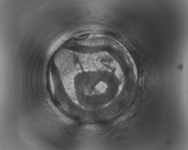 X0000115320341200911301603