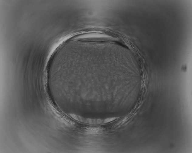 X0000115320342200911301603