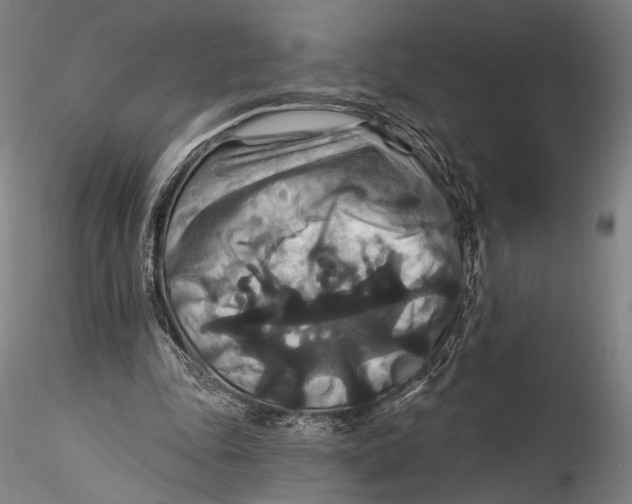 X0000115320343200911301603