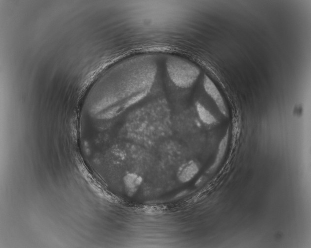 X0000115320345200911301603