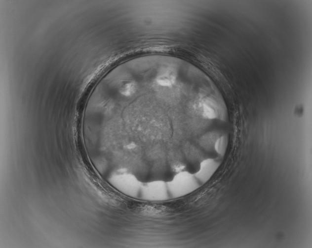 X0000115320346200911301603