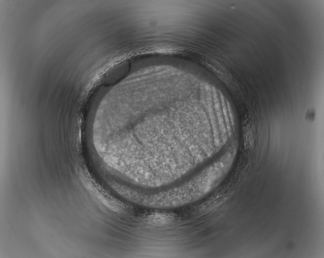 X0000115320350200911301603