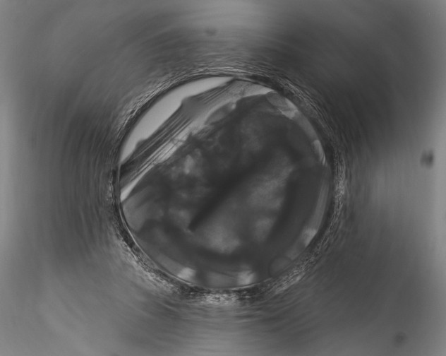 X0000115320353200911301603