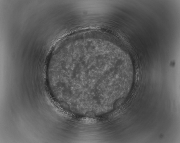 X0000115320354200911301603