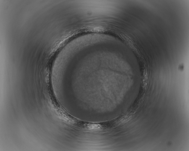 X0000115320355200911301603