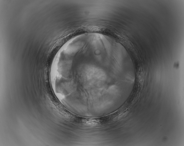 X0000115320359200911301603