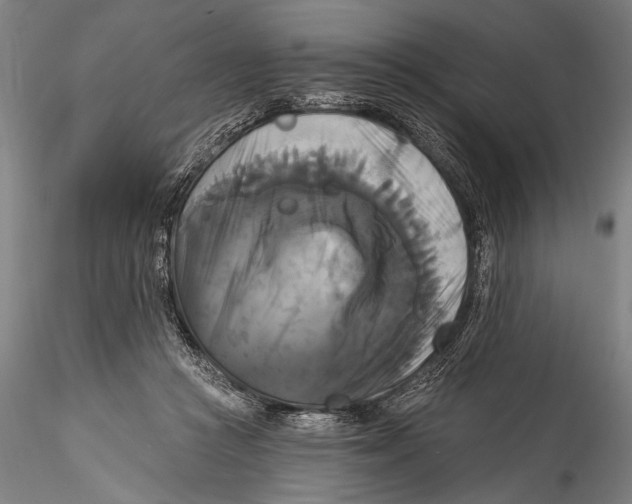 X0000115320361200911301604