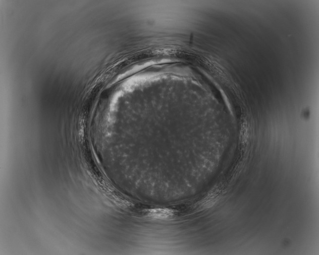 X0000115320363200911301604