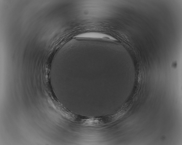 X0000115320366200911301604