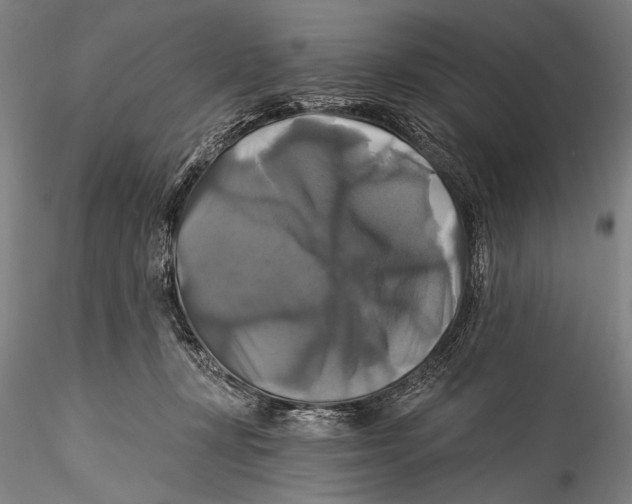 X0000115320367200911301604