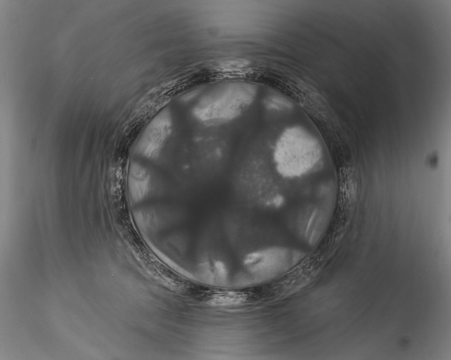 X0000115320369200911301604