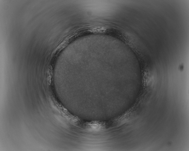 X0000115320370200911301604