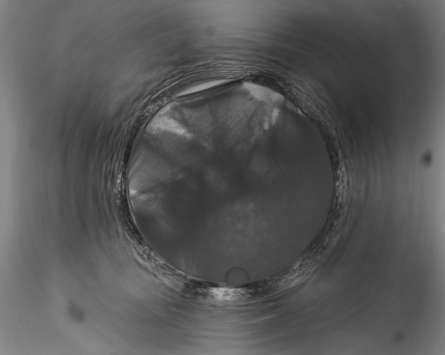 X0000115320371200911301604