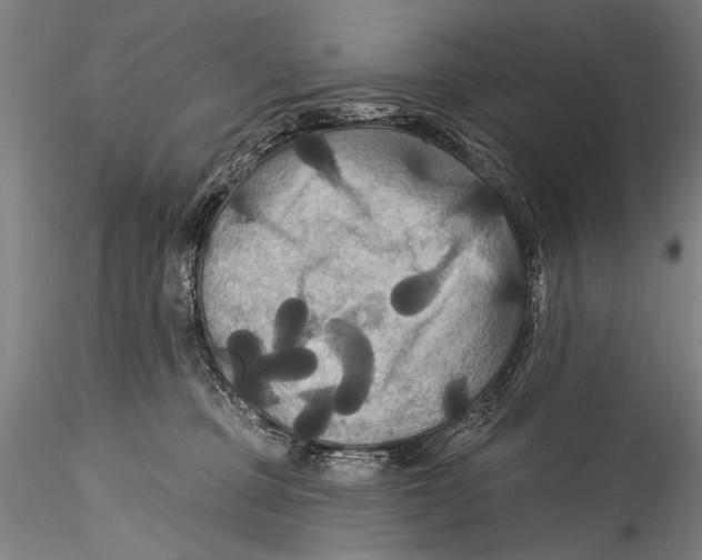 X0000115320373200911301604