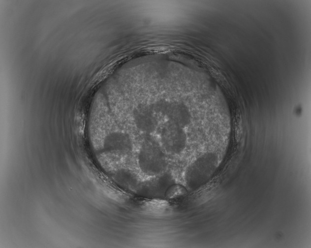 X0000115320374200911301604