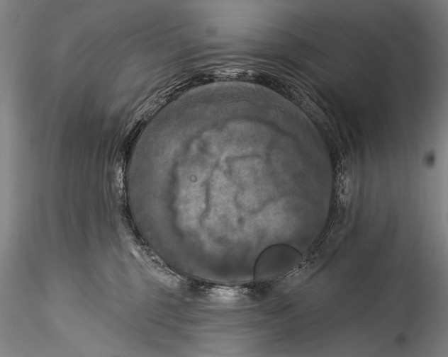 X0000115320375200911301604