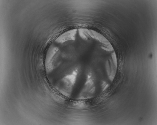 X0000115320377200911301604