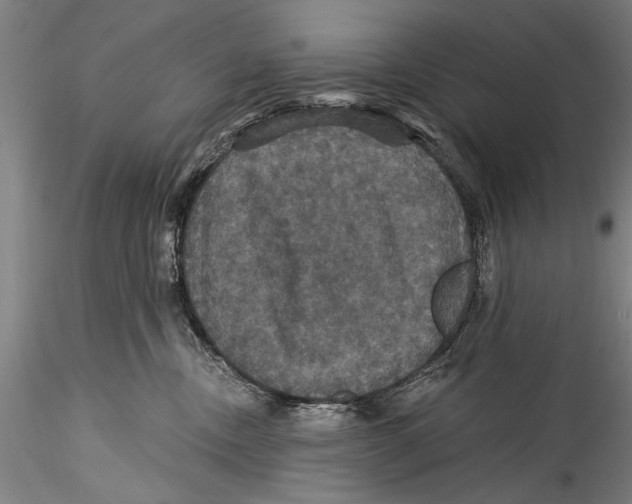 X0000115320378200911301604