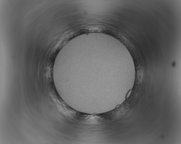 X0000115320379200911301604