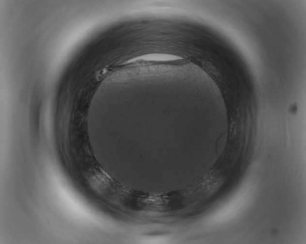 X0000115320383200911301604