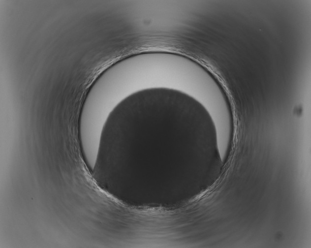 X0000115320385200911301603