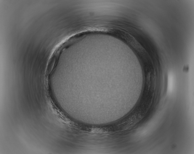 X0000115320388200911301603