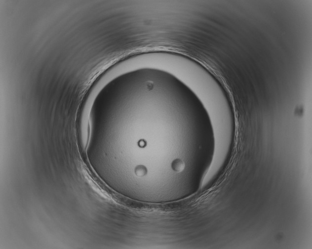 X0000115320389200911301603