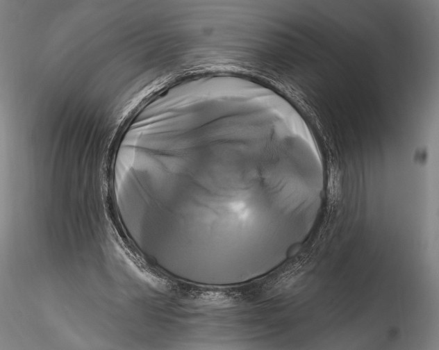 X0000115320390200911301603