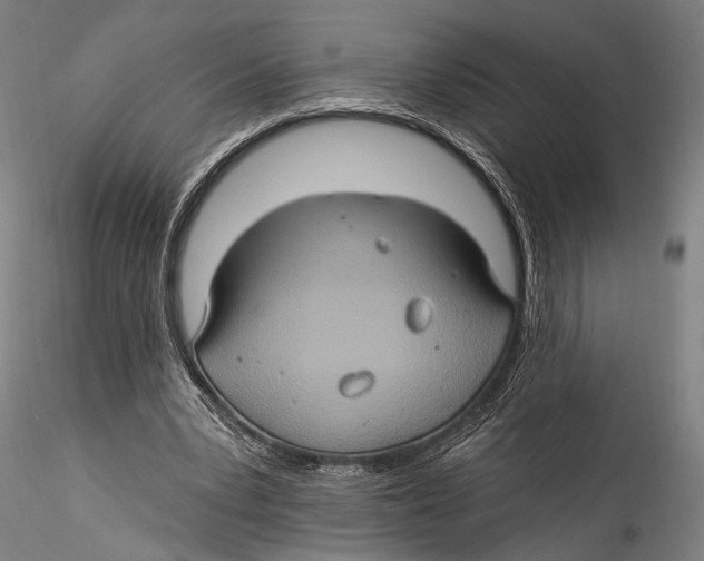 X0000115320391200911301603