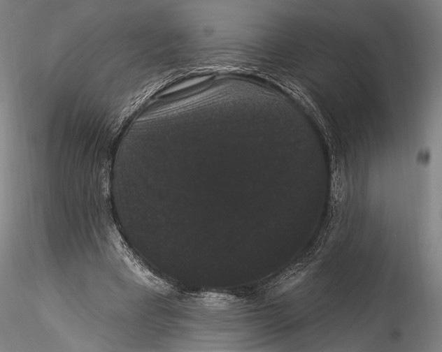 X0000115320393200911301603