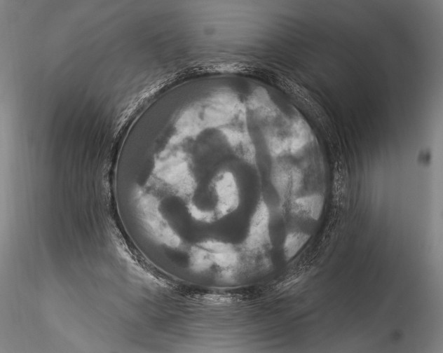 X0000115320394200911301603