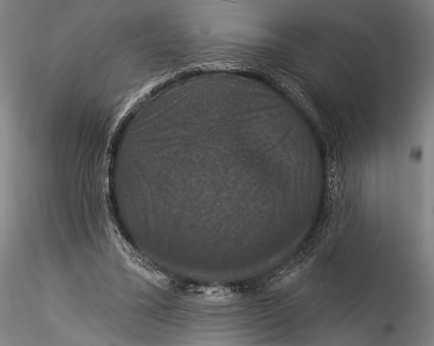 X0000115320395200911301603