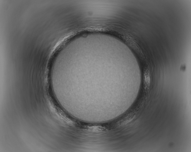 X0000115320396200911301603