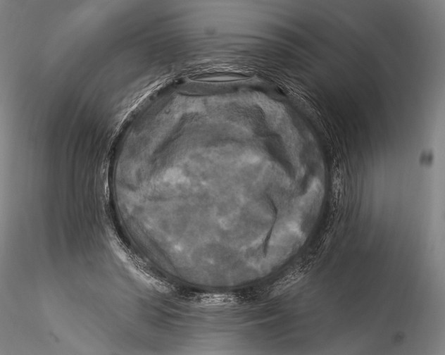 X0000115320398200911301603