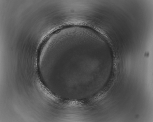 X0000115320399200911301603