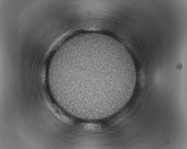 X0000115320400200911301603