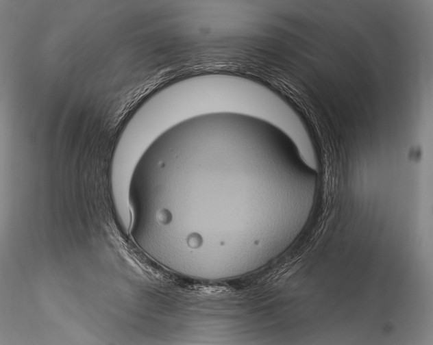 X0000115320401200911301603