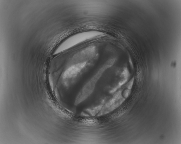 X0000115320402200911301603