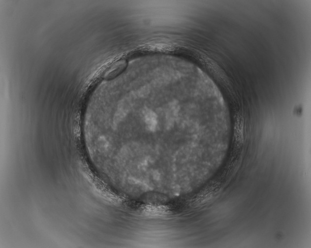 X0000115320403200911301603