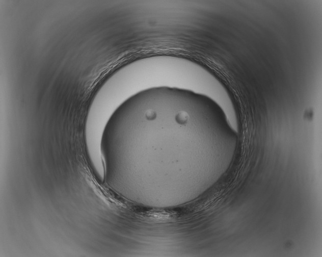 X0000115320405200911301603