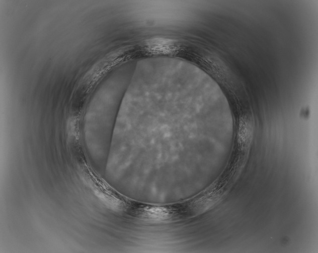 X0000115320409200911301603