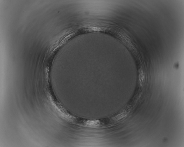 X0000115320410200911301603