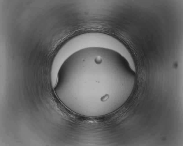 X0000115320411200911301603