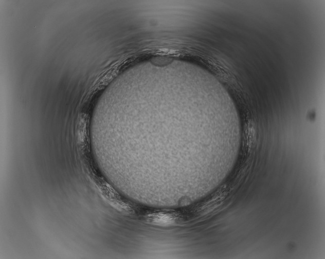 X0000115320412200911301603