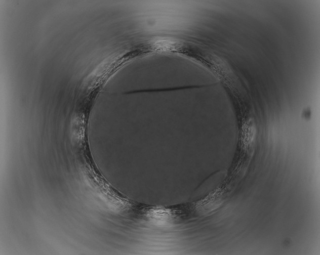 X0000115320413200911301603