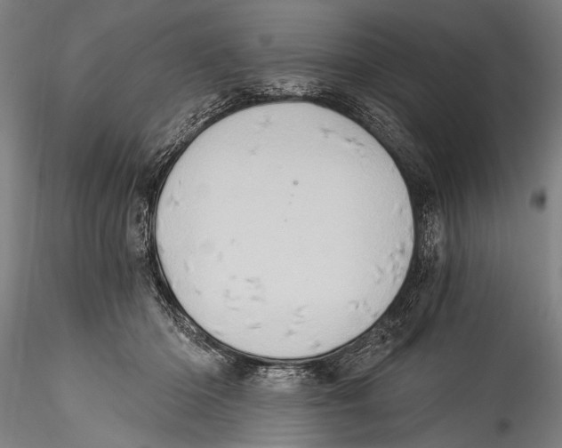 X0000115320414200911301603