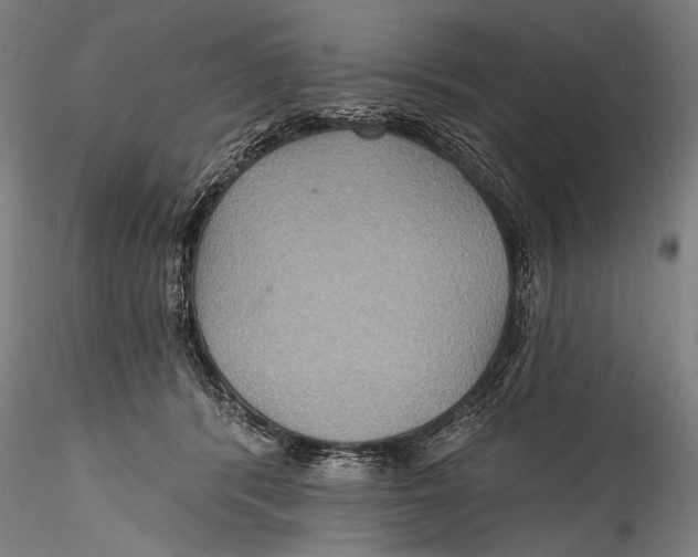 X0000115320416200911301603