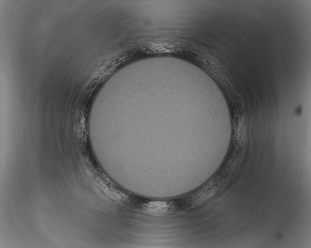 X0000115320418200911301603