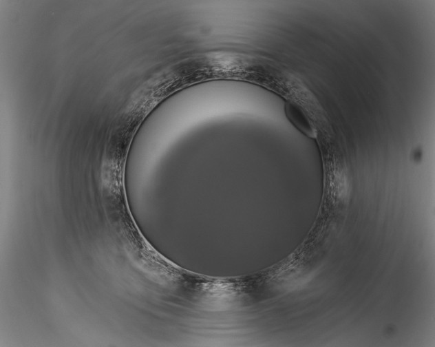 X0000115320419200911301603