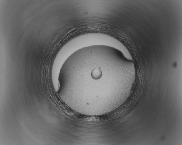 X0000115320421200911301603